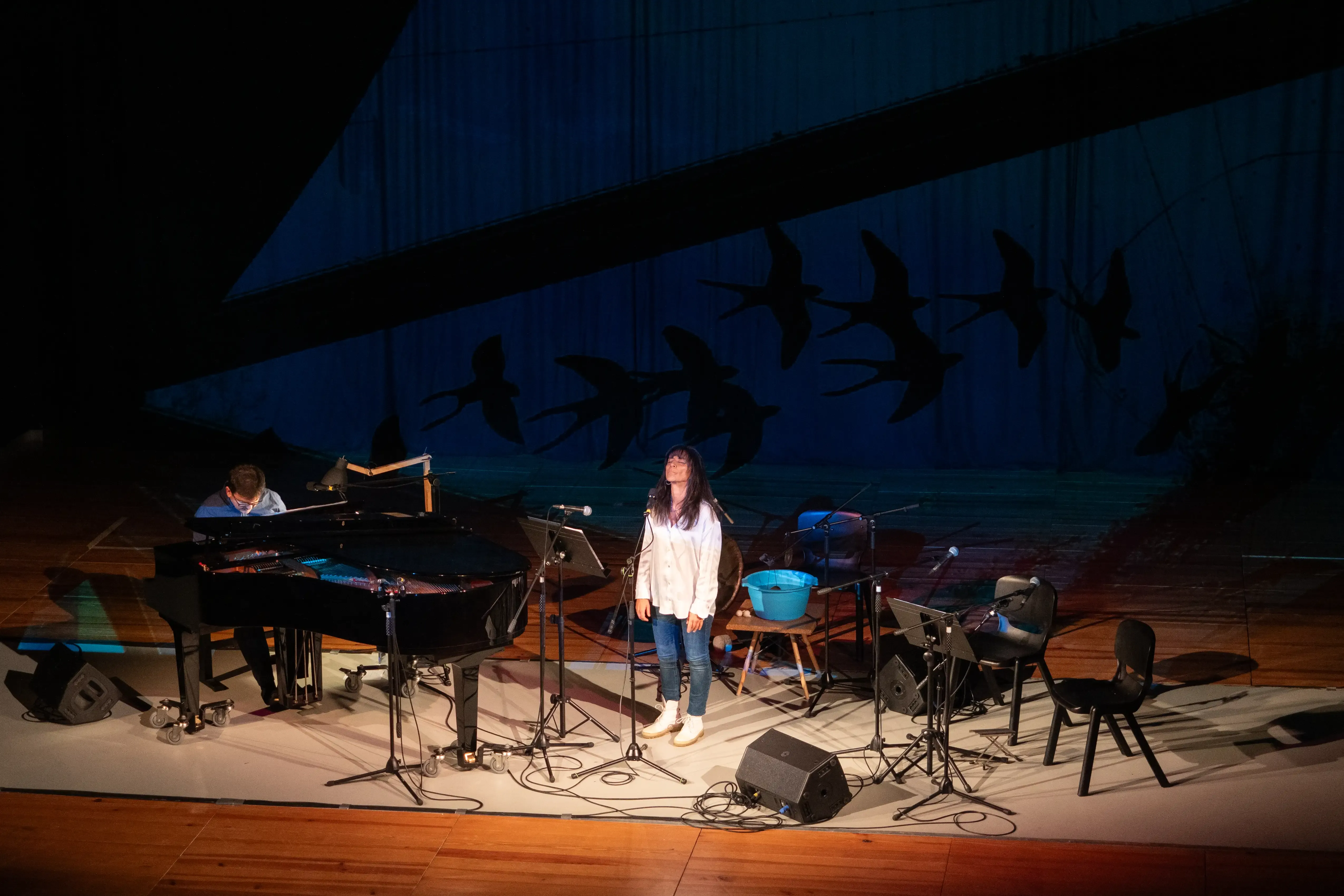 Uma mulher está a performar num palco. No lado esquero da imagem alguém acompanha ao piano. Ao fundo tem uma projeção, em azul de silhuetas de pássaros.